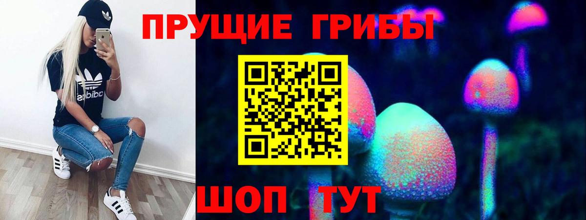 Псилоцибиновые грибы мухоморы  Вход с VPN  Галлюциногенные грибы прущие грибы  Торжок 